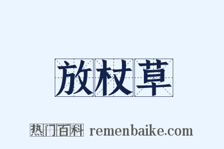 放杖草是什么意思的图片